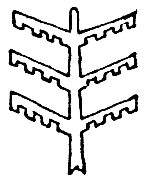 Tree Design Stem Fungerar Som Pelare Eller Balk Detta Vatten — Stock vektor