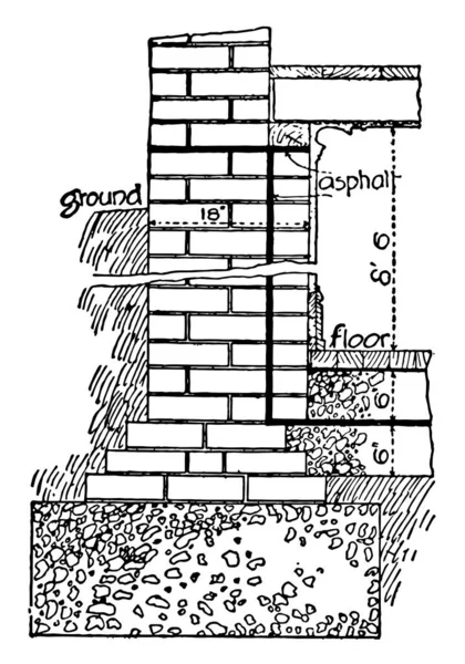 Mauerwerk Breit Gesicht Kurz Ende Trage Kopf Vintage Linienzeichnung Oder — Stockvektor