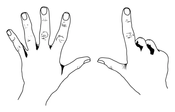 European Style Counting Hands Représentant Style Européen Dessin Ligne Vintage — Image vectorielle