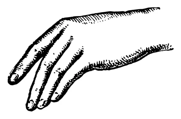 Рука Зовнішня Крайність Людської Руки Вінтажний Малюнок Лінії Або Гравюрна — стоковий вектор