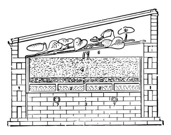 这个插图代表了可以通过蒸汽或热水加热的管道加热的温床 复古线条画或雕刻插图 — 图库矢量图片