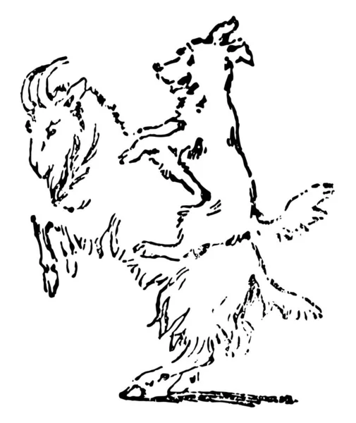 Perro Sentado Parte Posterior Otro Animal Dibujo Línea Vintage Ilustración — Vector de stock