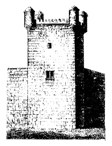 ブロッホ 8000年紀元前に新石器時代のエリコの壁のタワーの北スコットランドの構造 ローマ文化を強調したタワー ビンテージの線描画や彫刻イラストの使用 — ストックベクタ