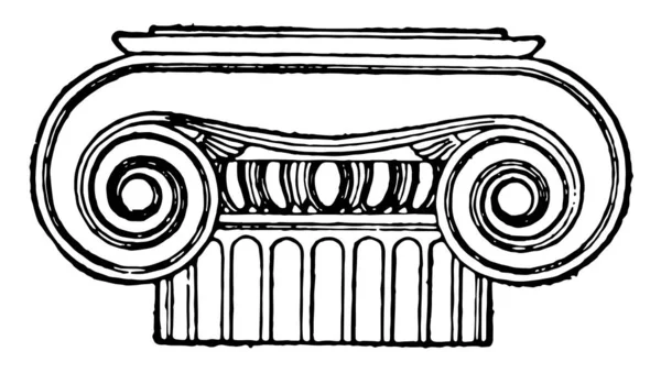 Греческий Капитал Ионический Использование Volutes Колонны Правило Стоят Базе Стилобат — стоковый вектор