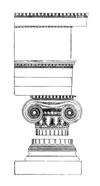 Ionische Orde 16E Eeuw Renaissance Architect Theoreticus Vintage Lijntekening Gravure — Stockvector