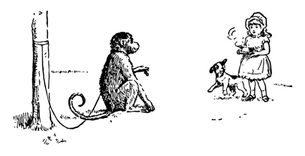 Monkey Tied Wooden Rod Rope Little Girl Dog Walking Monkey — Stock Vector