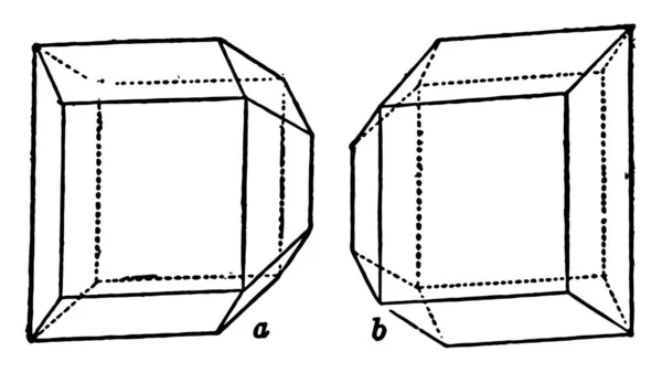 Det Här Diagrammet Representerar Enantimorphous Crystals Vinsyra Vintage Linje Ritning — Stock vektor