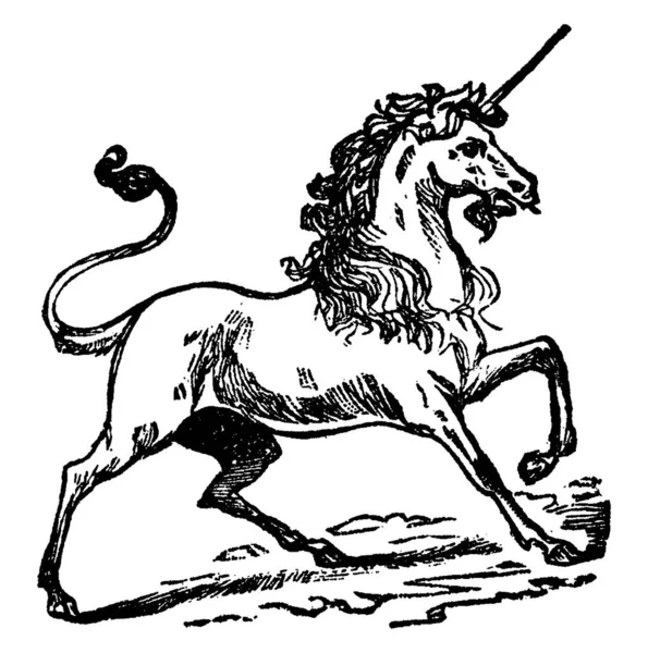 独角兽动物面向右侧 复古线条绘制或雕刻插图 — 图库矢量图片