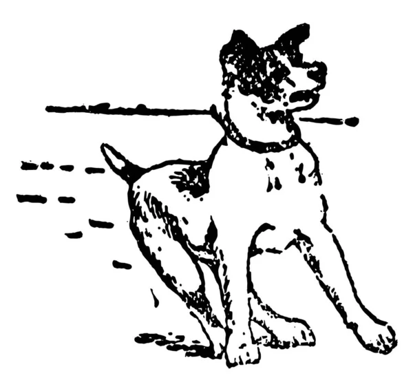 Een Hond Permanent Zoek Naar Iets Vintage Lijntekening Gravure Van — Stockvector