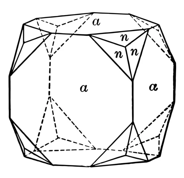 Det Här Diagrammet Representerar Kub Och Trapezohedron Vintage Linje Ritning — Stock vektor