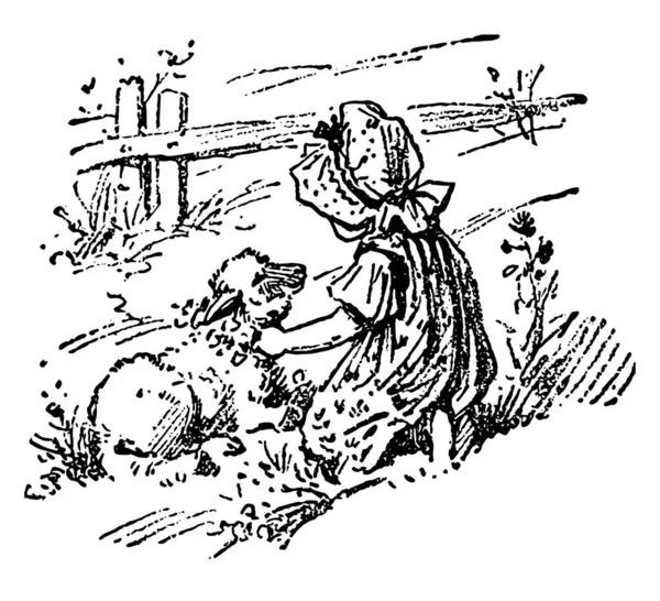 メリーさんの子羊 このシーンは少し羊やビンテージの線描画彫刻イラストと膝の上に座っている少女を示しています — ストックベクタ