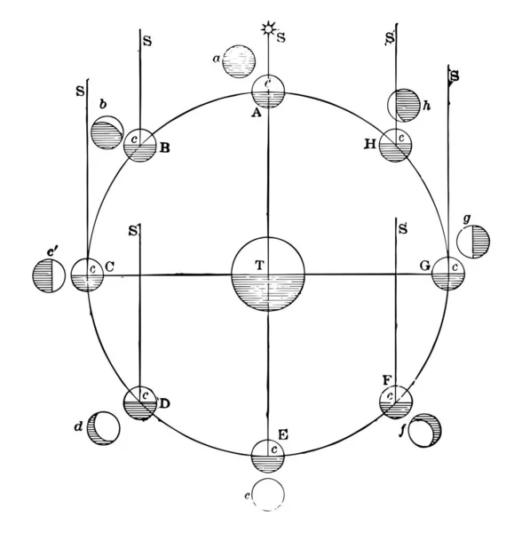 Phases of moon or lunar phase is shape of the moon which is exposed to sun , viewed from observer in earth, vintage line drawing or engraving illustration