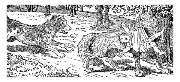 술탄이이 장면은 보여줍니다 아기를 늑대와 빈티지 그림에서 나무의 — 스톡 벡터
