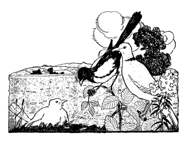 Deux Oiseaux Assis Sur Une Branche Arbre Regardant Autre Oiseau — Image vectorielle