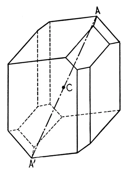 この図を表す対称性センター ビンテージの線描画や彫刻イラスト — ストックベクタ