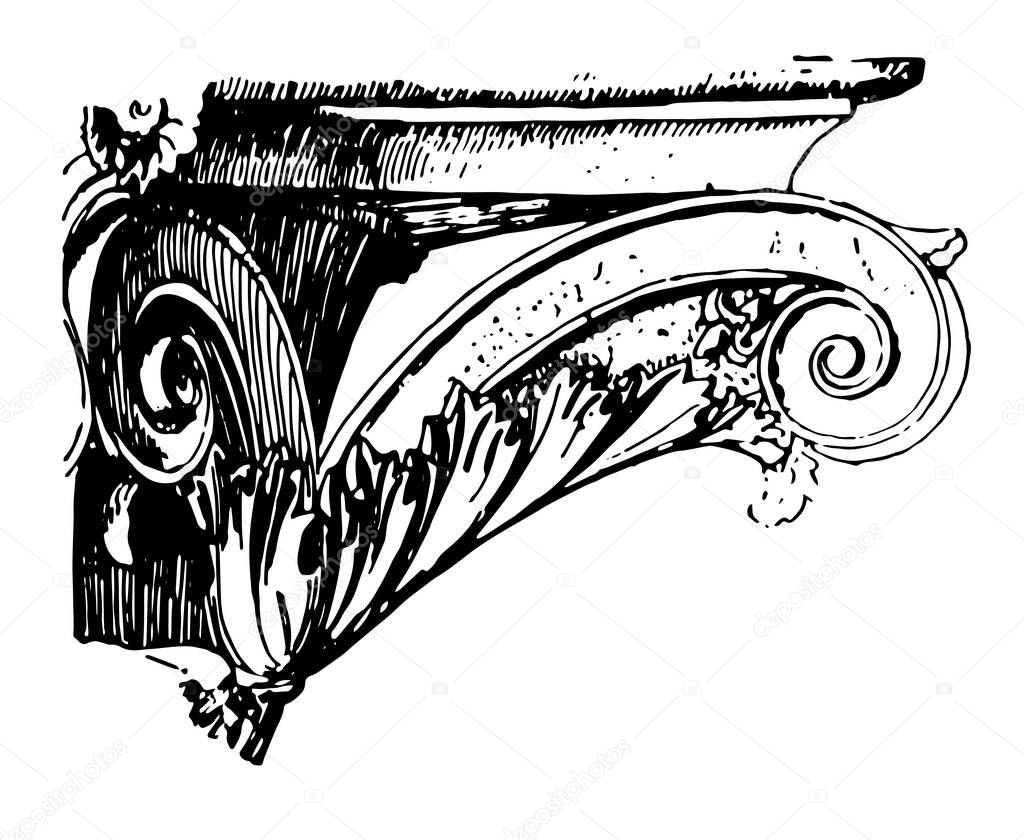 Capital, Corinthian, volutes, circular, shaft, convex, vintage line drawing or engraving illustration.