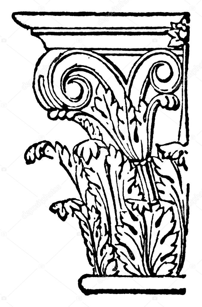 Volute of the Corinthian Capital, a principal ornament,  number of volutes in Ionic order is four, called helices, vintage line drawing or engraving illustration. 