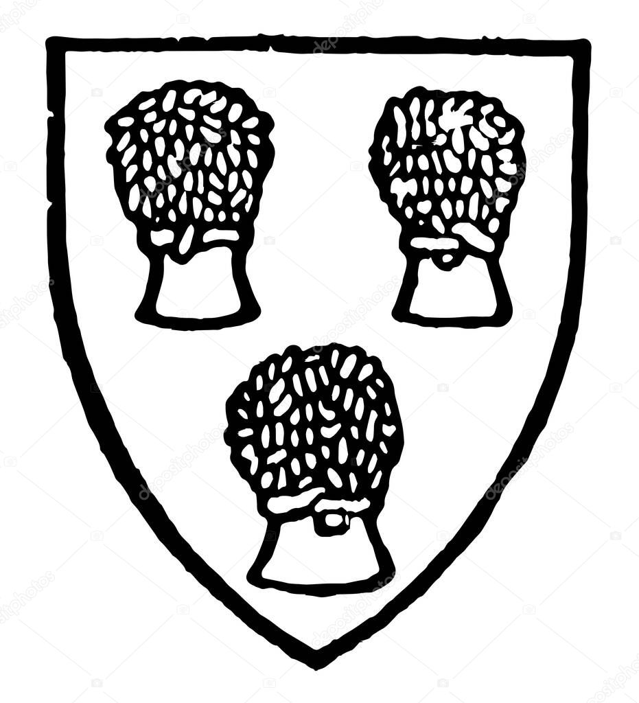 Chester have three sheaves being on the shield, vintage line drawing or engraving illustration.