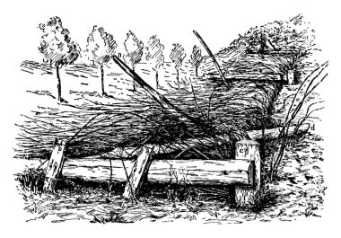 Bu resimde bir mimari yapısı, vintage çizgi çizme veya oyma illüstrasyon kafes temsil eder..