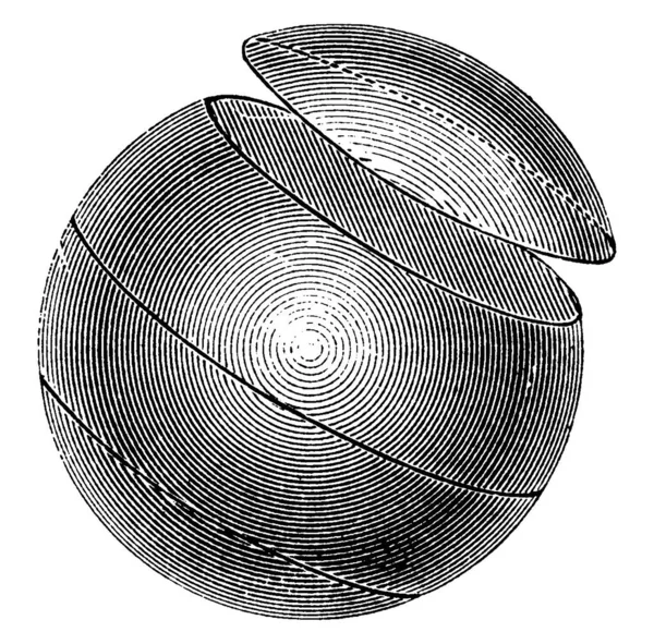 当平面不通过球体中心 复古线条绘制或雕刻插图时 会形成小圆圈 — 图库矢量图片