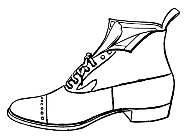 Chaussures Ressemblent Style Très Simple Dessin Ligne Vintage Illustration Gravure — Image vectorielle