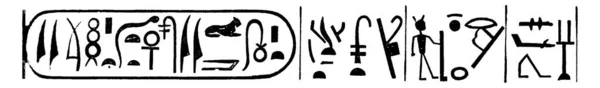 Excerpt Rosetta Stone Reading Hieroglyphics Priests Memphis Vintage Line Drawing — Stock Vector