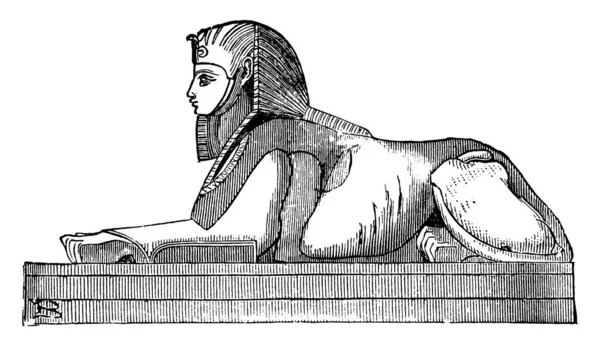 Sfenks, Yunanca kelime anlamına, Boğazlayan, bazı sembolik formları, Mısır kökenli, en dikkat çekici, vintage çizgi çizme veya oyma illüstrasyon.