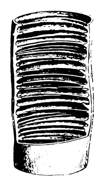 Diagramme Représente Intestin Grêle Dessin Ligne Vintage Illustration Gravure — Image vectorielle