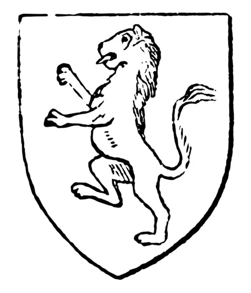 사자는 잉글랜드 빈티지 그림의 군주에 상징으로 되었다 — 스톡 벡터