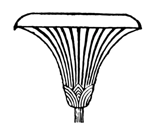 Papyrus Conventionnel Est Motif Stylisé Dessin Ligne Vintage Illustration Gravure — Image vectorielle