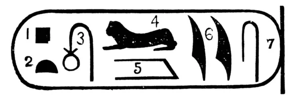 Échantillon Pierre Rosetta Artefact Égyptien Langue Pierre Rosetta Hiéroglyphes Égyptiens — Image vectorielle