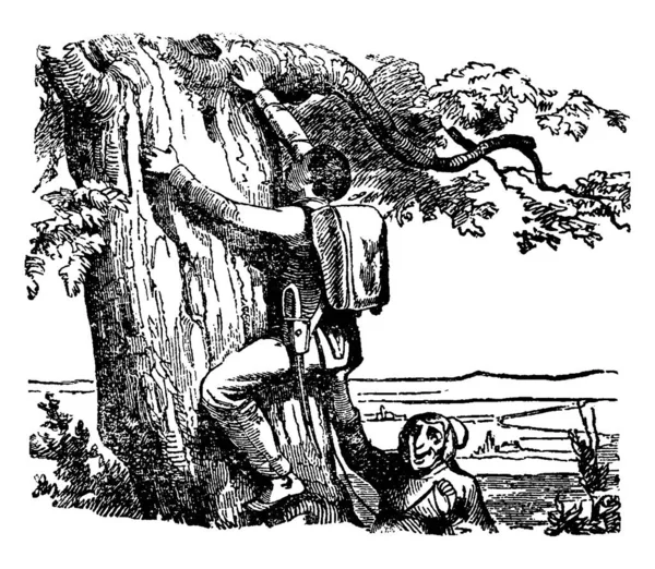 Homme Grimpant Arbre Autre Homme Debout Près Arbre Lui Donnant — Image vectorielle