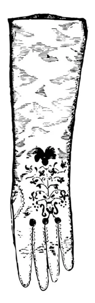 Рукавичка Карла Довгий Візерунок Vintage Штриховий Малюнок Або Ілюстрація Гравіювання — стоковий вектор