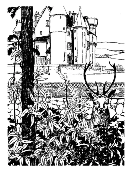 Животное Кустах Дом Заднем Плане Рисунок Винтажной Линии Гравировка Иллюстрации — стоковый вектор
