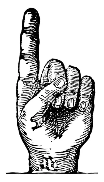 Палец Одна Конечностей Руки Рисунок Винтажной Линии Гравировка — стоковый вектор