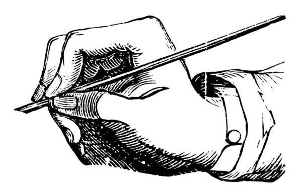 正しくない Penmanshipwhere 大きな指を矯正する必要がありますの彫刻イラストやビンテージ ライン描画ペンを保持しているオブジェクトの手 — ストックベクタ