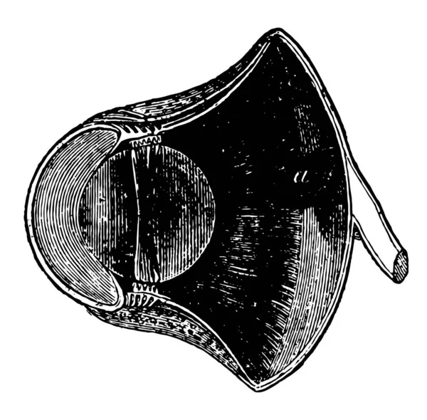 Bird Eye Donde Longitud Desde Diámetro Anterior Hasta Posterior Alargó — Archivo Imágenes Vectoriales