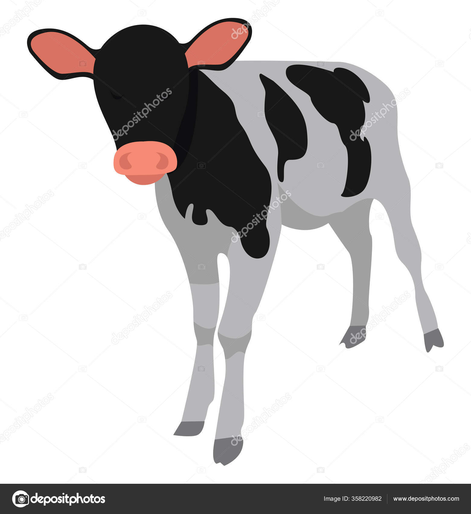 Vaca Blanca Negra Ilustración Vector Sobre Fondo Blanco vector, gráfico