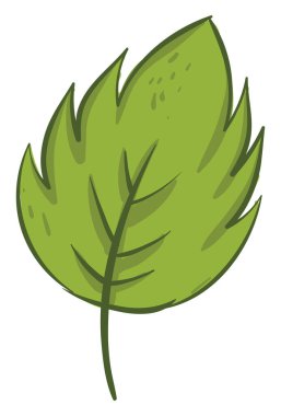 yeşil yaprak, illüstrasyon, beyaz arkaplan üzerindeki vektör