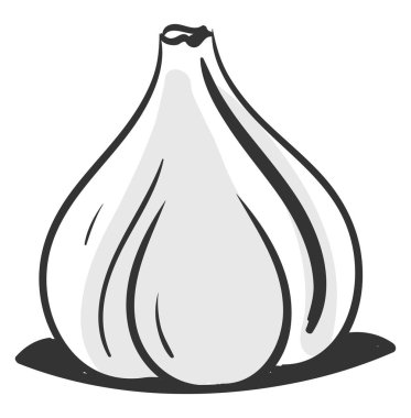 Sarımsak çizim, illüstrasyon, beyaz arka plan vektör