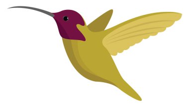 Yeşil sinek kuşu, illüstrasyon, beyaz arkaplanda vektör