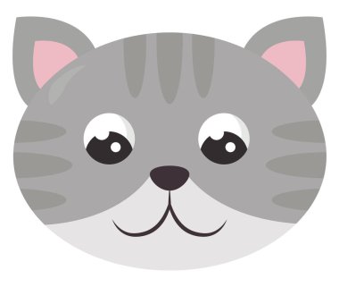 Gri kedi, illüstrasyon, beyaz arkaplan vektörü