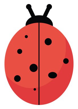 Düz uğur böceği, illüstrasyon, beyaz arka plan üzerinde vektör