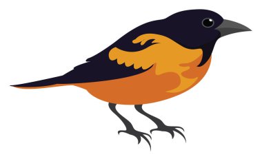 Sarı kuş, illüstrasyon, beyaz arkaplanda vektör