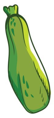 Taze kabak, illüstrasyon, beyaz arka plan vektör