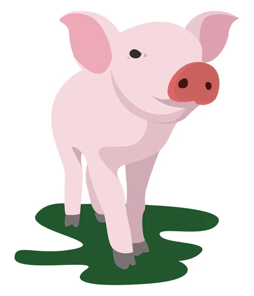 Cerdo Animal Ilustración Vector Sobre Fondo Blanco — Vector de stock