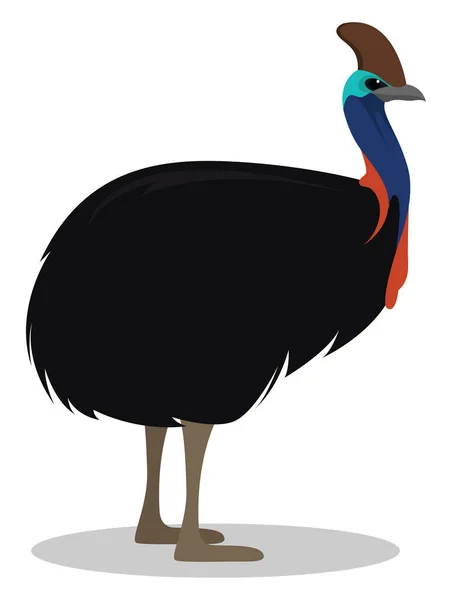 Cassowary Bird Illustration Vector White Background — 스톡 벡터