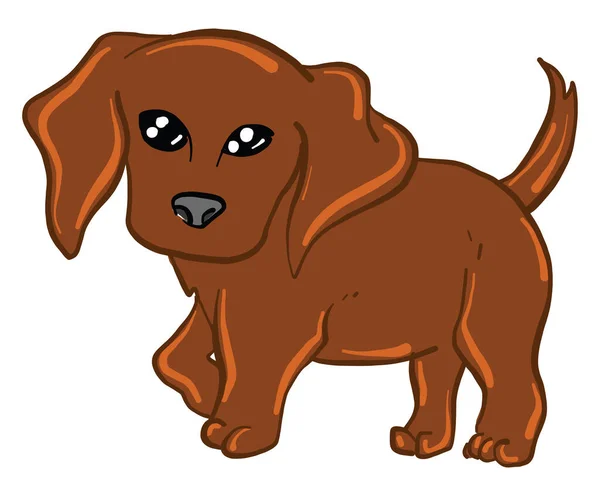 Kastanjehund Illustration Vektor Vit Bakgrund — Stock vektor