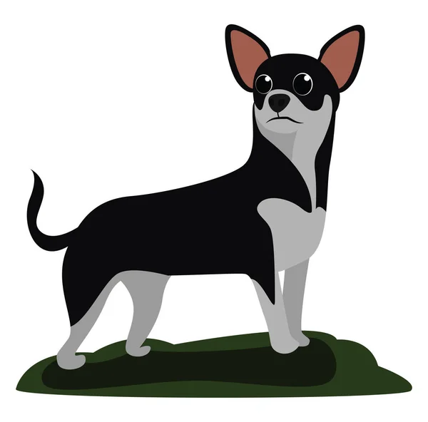 Chihuahua Chien Illustration Vecteur Sur Fond Blanc — Image vectorielle