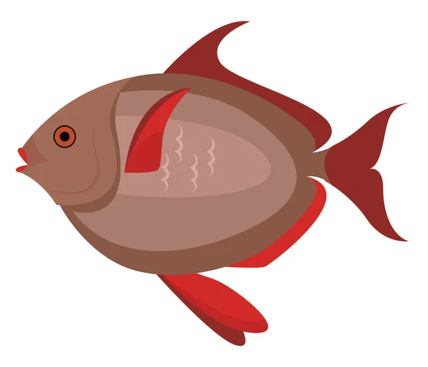 Červené Ryby Ilustrace Vektor Bílém Pozadí — Stockový vektor